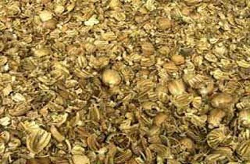 60 किलोग्राम अवैध डोडाचूरा का परिवहन कर ले जा रहे कैलाश को सरवानिया महाराज पुलिस ने पकड़ा, क्रेटा कार व डोडाचुरा जप्त कर आरोपी को किया गिरफ्तार