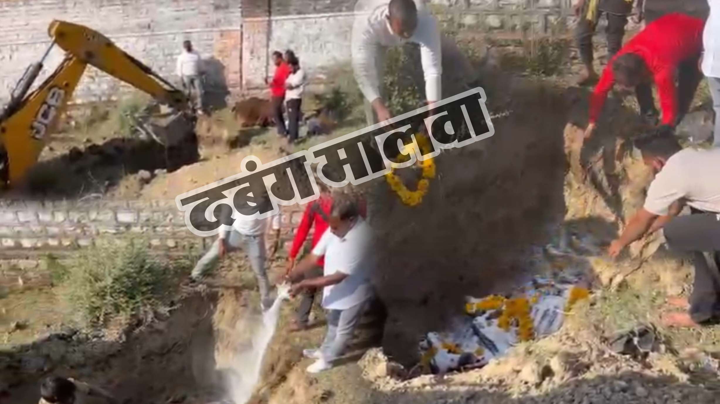 शिवसैनिक व गोभक्तों ने दी मृत गौमाता को समाधि