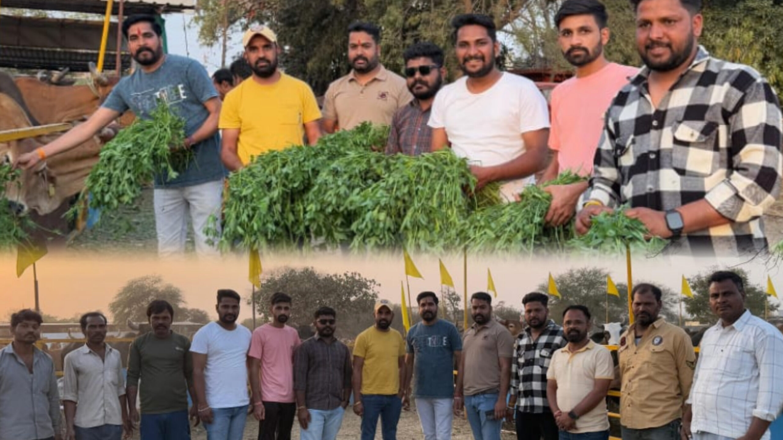 करणी सेना के स्थापना दिवस पर पदाधिकारीयों ने गौ माता को हराचारा व‌ गुड़ खिलाया