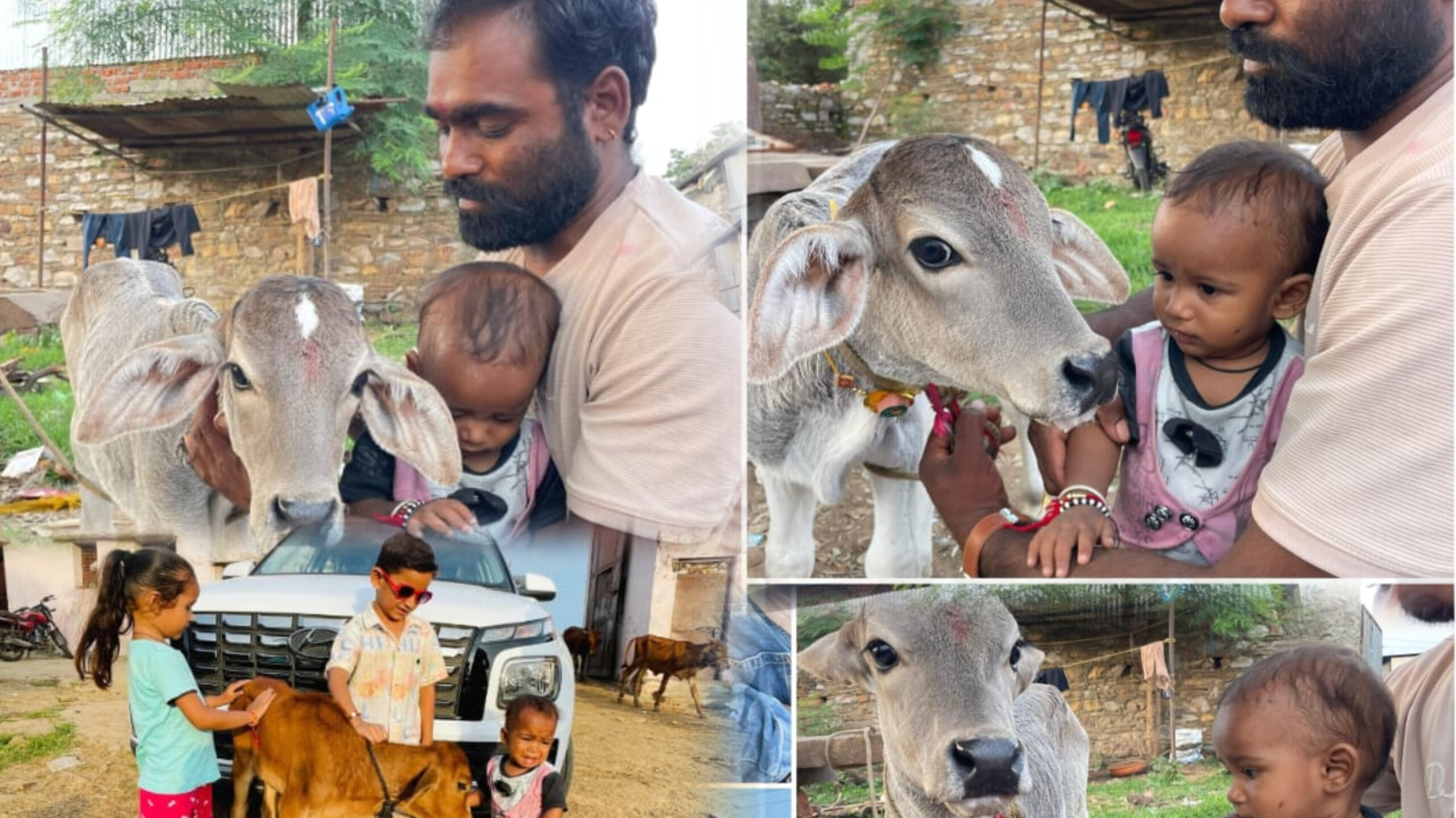 गो सेवा कर मनाया नन्हे राजकुमार का पहला जन्मदिन, गौमाता को गुड़ खिलाया, राशि भेंट की।