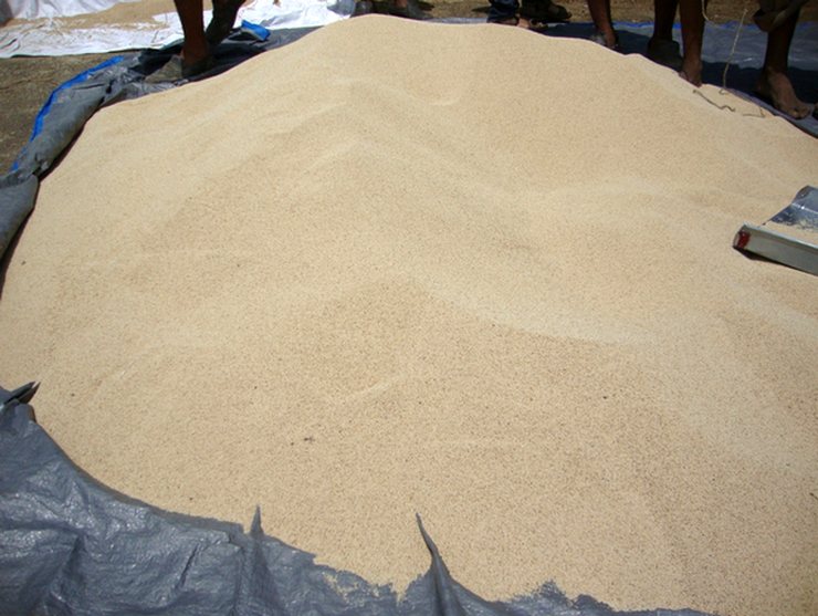 मंडी के टोपीबाज कारोबारी के ठिकाने पर अफीम की अवैध खेती से उपजे “पहाड़ी पोस्ते” की खबर से मचा हड़कंप, जांच एजेंसी DRI ने एमपी-राजस्थान सीमा पर स्थित व्यवसायिक गोदाम पर दी दबिश